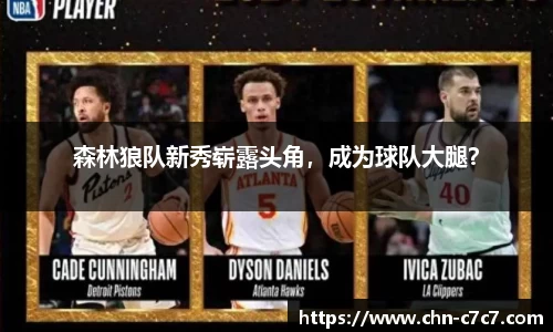 森林狼队新秀崭露头角，成为球队大腿？
