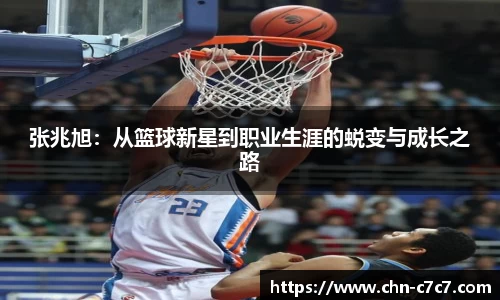 c7c7app登录入口