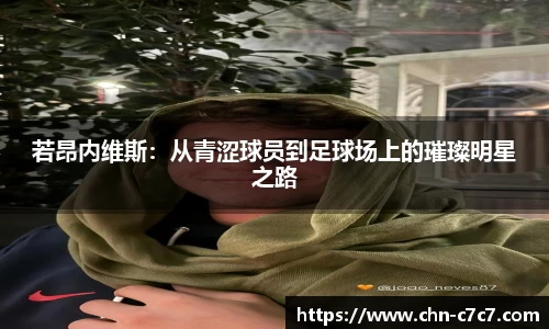 c7c7app登录入口