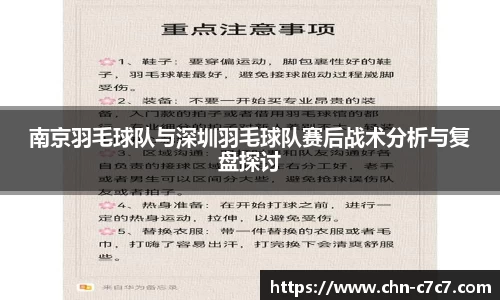 南京羽毛球队与深圳羽毛球队赛后战术分析与复盘探讨