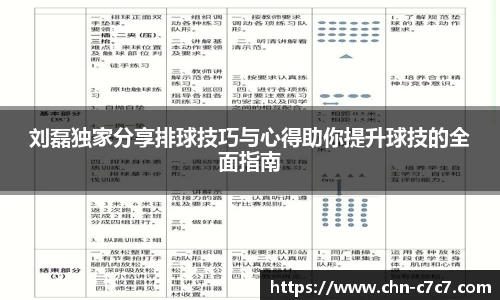 刘磊独家分享排球技巧与心得助你提升球技的全面指南
